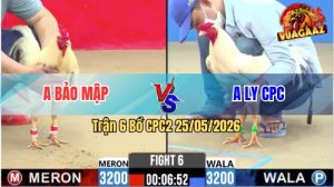 Trận 6 CPC2 25/05/2026 - Gà Bướm Hiệu Anh Bảo Có Pha Lội Ngược Dòng