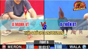 Trận 6 CPC2 26/05/2026 - Gà Chưa Thả Anh Thiện Bến Tre Đã Bị Dí Ăn 5