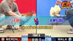 Trận 6 CPC2 27/05/2026 - Idol Mỹ Liều Vô Không Nổi Với Gà Của Bồ