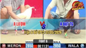 Trận 6 CPC2 31/05/2026 - Gà Bướm Anh Lượm Nạp Chân Cựa Quá Tịch
