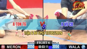 Trận 6 CPC3 17/05/2026 - Anh Ton TG Hạ Anh Vũ CB Trong Vất Vả