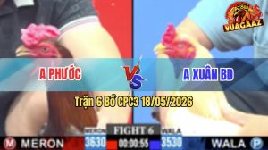 Trận 6 CPC3 18/05/2026 - Gà Bướm Anh Xuân BD Đá Cái Bo Quá Khủng