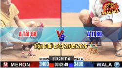 Trận 6 CPC3 21/05/2026 - Gà Que Anh Tài Canh Chặn Mấy Chân Lụm Tiền