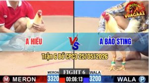 Trận 6 CPC3 25/05/2026 - Gà Úa Cọp Idol Bảo Sting Ra Quân