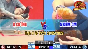 Trận 6 CPC3 31/05/2026 - Anh Kiểm Chấp Ngông, Bị Anh Cường Hạ