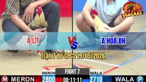 Trận 7 CPC2 19/05/2026 - Gà Chuối Anh Lít Đá Chưa Tới 3 Chân