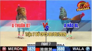 Trận 7 CPC2 30/05/2026 - Gà Điều Chưa Thả Đã Dí Bạc Nhận Cái Kết Đắng