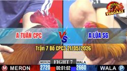 Trận 7 CPC3 21/05/2026 - Gà Điều Anh Tuấn CPC Đá Đòn Quá Đau