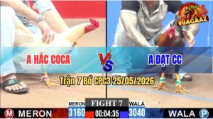 Trận 7 CPC3 25/05/2026 - Gà Anh Hắc Coca Gồng Gánh Thắng Ngược