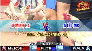 Trận 7 CPC3 28/05/2026 - Gà Úa Má Minh Dí Bạc Ăn 6 Và Cái Kết