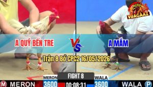 Trận 8 Bồ CPC2 16/5/2026 - Que Mua Xe Anh Mắm Dở Giò Là Đâm Đỏ Bung Bồ Gọn Gàng