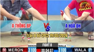 Trận 8 CPC2 19/05/2026 - Anh Thông BP Làm Thịt Anh Hoà ĐH Gọn