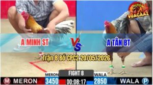 Trận 8 CPC2 20/05/2026 - Anh Minh ST Hạ Anh Tân BT Vì Tội Chấp Ngông