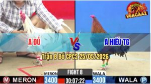 Trận 8 CPC2 25/05/2026 - Anh Đủ GC Chưa Thả Gà Đã Bị Dí Ăn 6