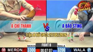 Trận 8 CPC2 27/05/2026 - Gà Bướm Anh Bảo Sting Đụng Phải Thứ Dữ