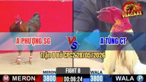 Trận 8 CPC2 28/05/2026 - Gà Bướm Anh Tùng Đá Canh Chặn Quá Khôn Khéo