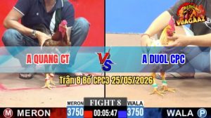 Trận 8 CPC3 25/05/2026 - Anh Quang Cần Thơ Hạ Gọn Anh Doul CPC