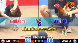 Trận 8 CPC3 28/05/2026 - Anh Thắng Dí Bạc Ngôn Bị Anh Huy Lụm