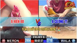 Trận 8 CPC3 31/05/2026 - Anh Cường Có Pha Phản Kèo Ăn 1 Quá Hay