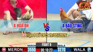 Trận 9 CPC2 19/05/2026 - Anh Hoà Hạ Idol Bảo Sting Trong 1 Tay Nước