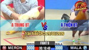 Trận 9 CPC2 29/05/2026 - Hàng Xịn Của Idol Kiểm CM Đá Quá Ác