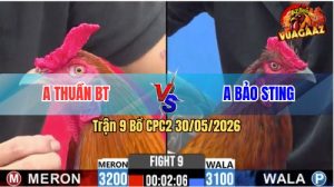 Trận 9 CPC2 30/05/2026 - Anh Thuần Phản Đòn Thắng Ngược Idol Bảo Sting