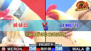 Trận 9 CPC3 16/05/2026 - Bồ C3 Đưa Ra Cọp Vào Hạ Nhẹ Nhàng