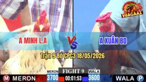 Trận 9 CPC3 18/05/2026 - Gà Bông Cứu Má Minh 1 Màn Thua Trong Thấy
