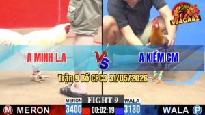 Trận 9 CPC3 31/05/2026 - Idol Kiểm CM Nay Nằm Kèo Dưới Coi Bộ Ngon