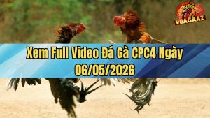 Xem Full Video Đá Gà CPC4 Ngày 06/05/2026