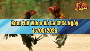 Xem Full Video Đá Gà CPC4 Ngày 15/05/2026
