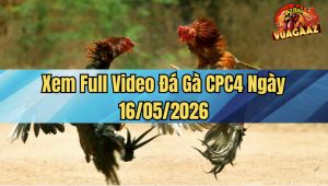 Xem Full Video Đá Gà CPC4 Ngày 16/05/2026