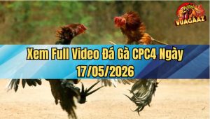 Xem Full Video Đá Gà CPC4 Ngày 17/05/2026