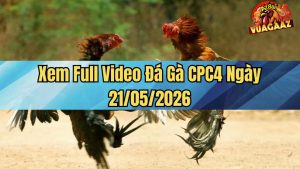 Xem Full Video Đá Gà CPC4 Ngày 21/05/2026