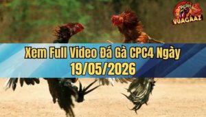 Xem Full Video Đá Gà CPC4 ngày 19:05:2026 cùng VUAGAAZ