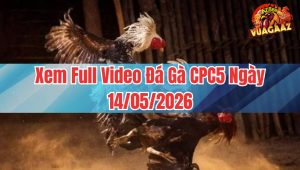 Xem Full Video Đá Gà CPC5 Ngày 14/05/2026