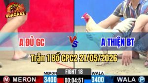 Xem trận 1 CPC2 21:5:2026 trên Vua Gà AZ