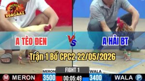 Xem trận 1 CPC2 22/5/2026 trên Vua Gà AZ