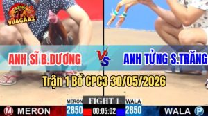Xem trận 1 CPC3 30/5/2026 trên Vua Gà AZ