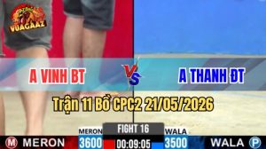 Xem trận 11 CPC2 21/5/2026 trên Vua Gà AZ