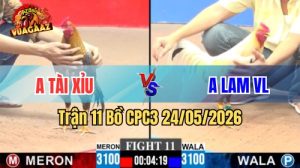 Xem trận 11 CPC3 24/5/2026 tại VUAGAAZ