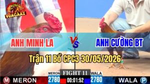 Xem trận 11 CPC3 30/5/2026 trên Vua Gà AZ