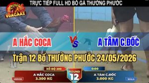 Xem trận 12 Bồ Thường Phước 24/5/2026 tại VUAGAAZ.jpg