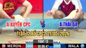 Xem trận 12 CPC2 21/5/2026 trên Vua Gà AZ