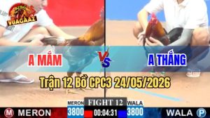 Xem trận 12 CPC3 24/5/2026 tại VUAGAAZ