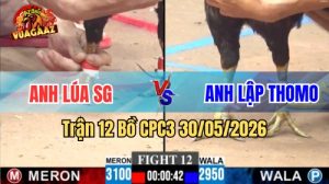 Xem trận 12 CPC3 30/5/2026 trên Vua Gà AZ