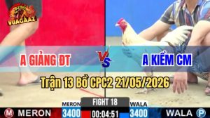 Xem trận 13 CPC2 21/5/2026 trên Vua Gà AZ