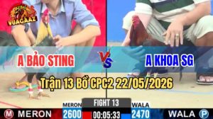 Xem trận 13 CPC2 22/5/2026 trên Vua Gà AZ