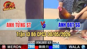 Xem trận 13 CPC3 30/5/2026 trên Vua Gà AZ