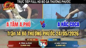 Xem trận 14 Bồ Thường Phước 24/5/2026 tại VUAGAAZ.jpg